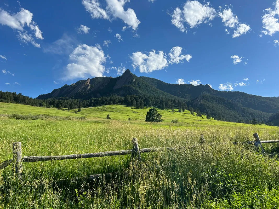 A green meadow and wooden fence below forested mountains under a blue sky